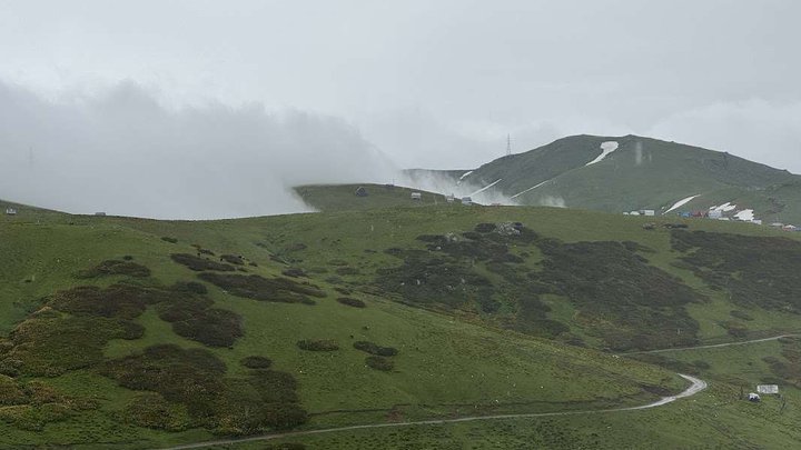 გომისთა