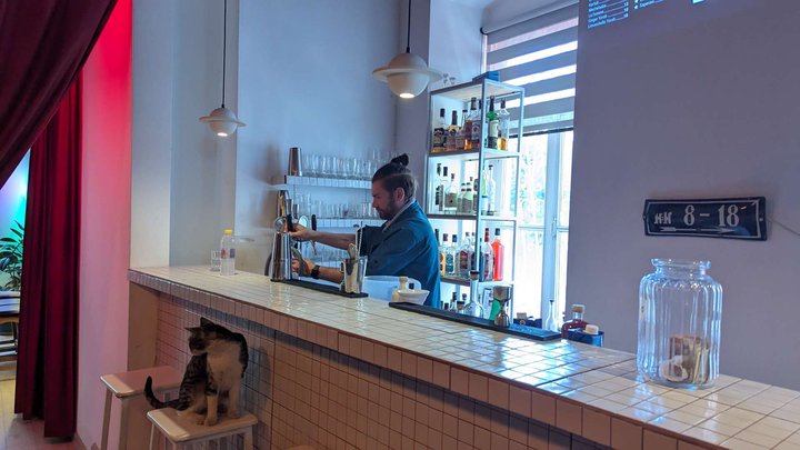 Gorilla Mafia - CBD cafe & Growshop