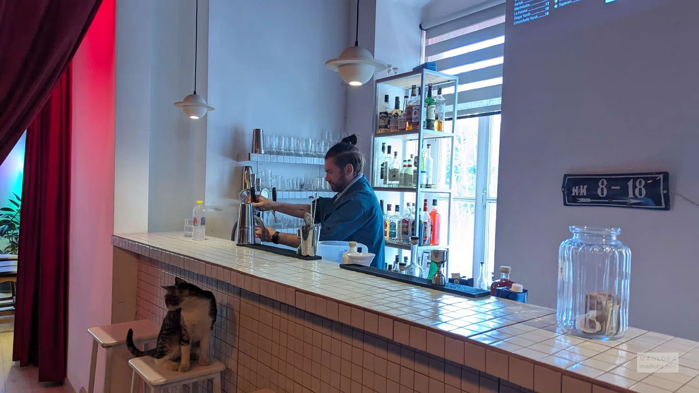 Барная стойка в Gorilla Mafia - CBD cafe & Growshop