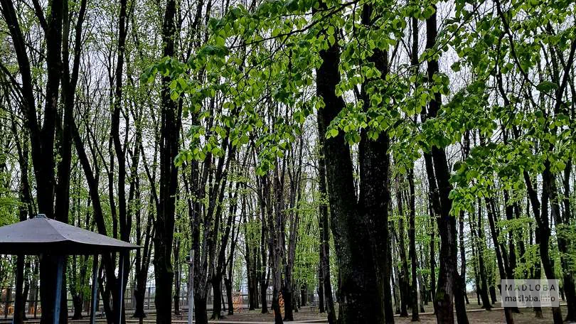 Городской парк "Парк любви (Рай для влюбленных)"