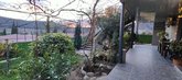 Garden and Panorama