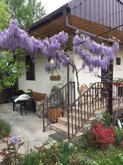 Hotel Niki