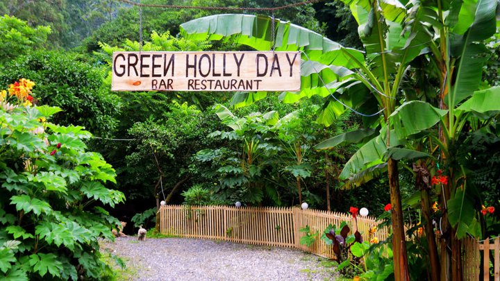 Ресторан "Green Holly Day"