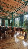 Green Terrace
