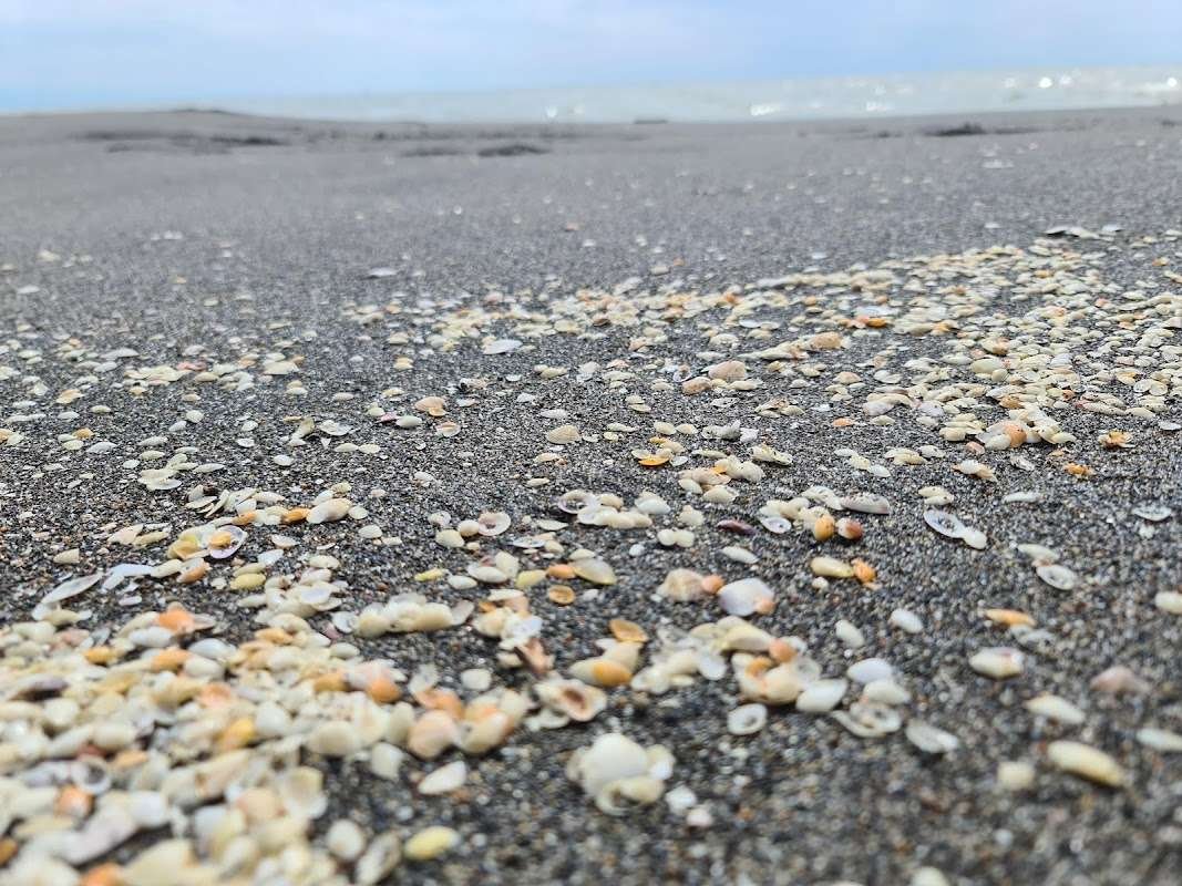 Grigoleti Beach
