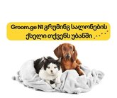 Groom (ონიაშვილის ქ.)