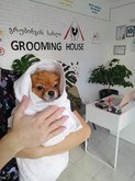 Grooming House