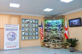 Грузино-американская средняя школа