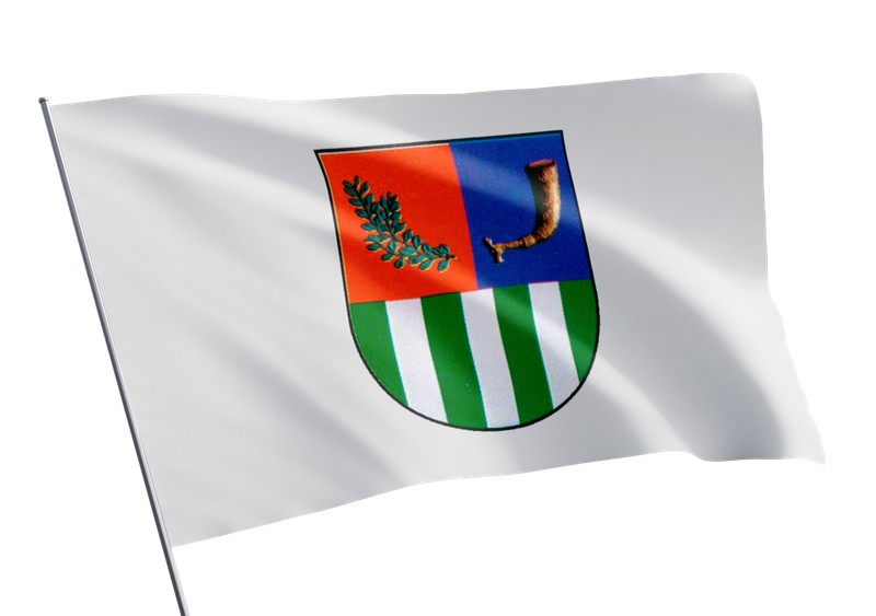Гудаутский муниципалитет флаг.png