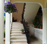 გულნასის