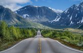 ჰამლეტ მოგზაურობა / Hamlet Travel