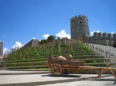 ჰამლეტ მოგზაურობა / Hamlet Travel
