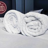 Tbilisi Airport Hotel - ATU 3*