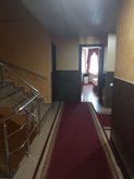 მარი