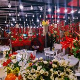 სამშობლო