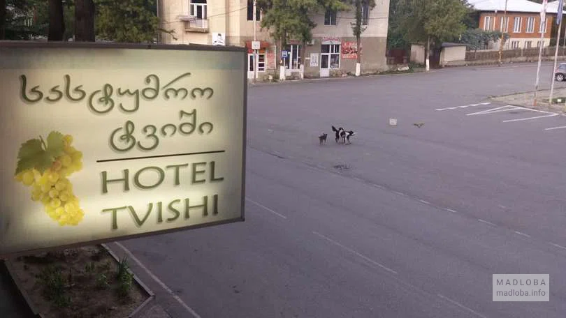 отель Hotel Tvishi