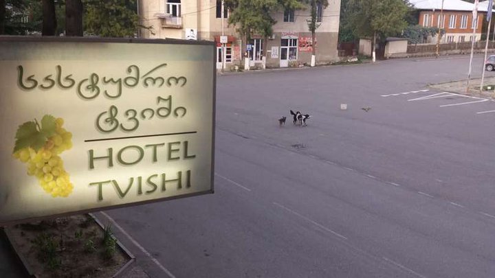 Hotel Tvishi