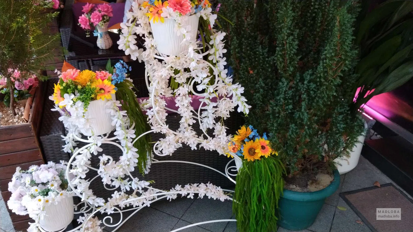 Coyote BAR цветы у входа