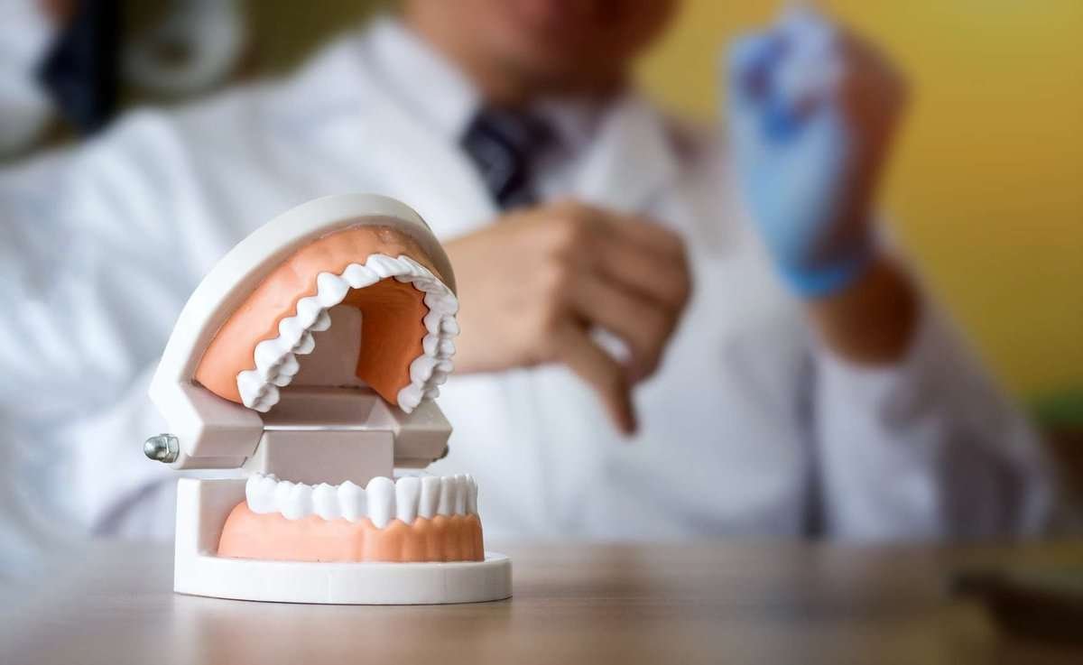 an artificial jaw on the dentist's table