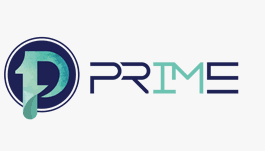 Insurance Company Prime