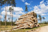 Лесозаготовка и производство необработанной древесины "Ipnari"