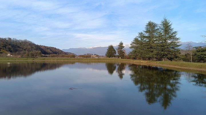 Artificial lake