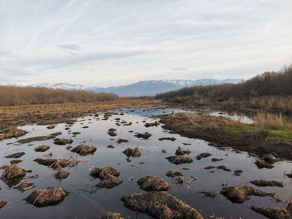 Ispani Peatland