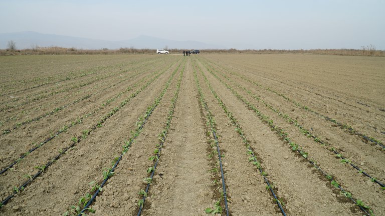 The Asian Development Bank allocates 45 million euros for the development of the irrigation sector in Georgia