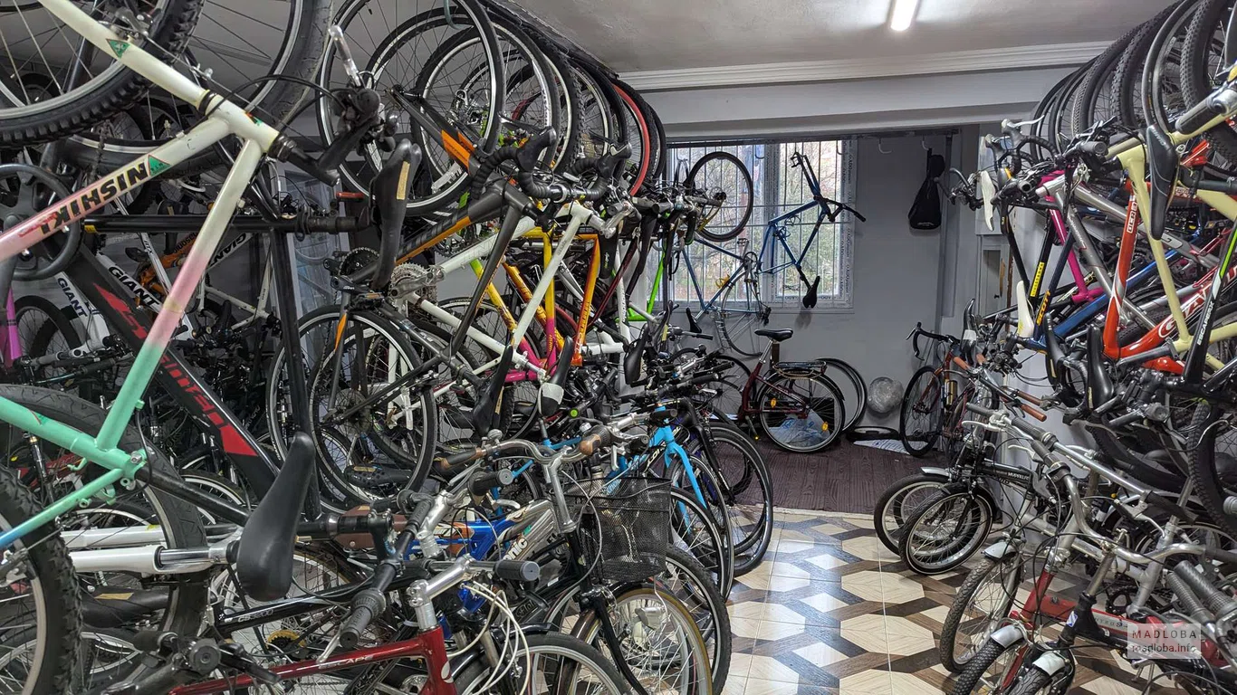 Ассортимент: Полки с разнообразными моделями велосипедов