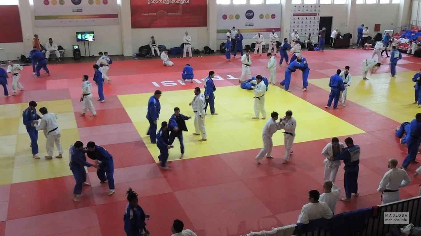 შ.ჩოჩიშვილის ძიუდოს აკადემია / Shota Chochishvili Judo Academy