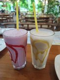 Магнолиа