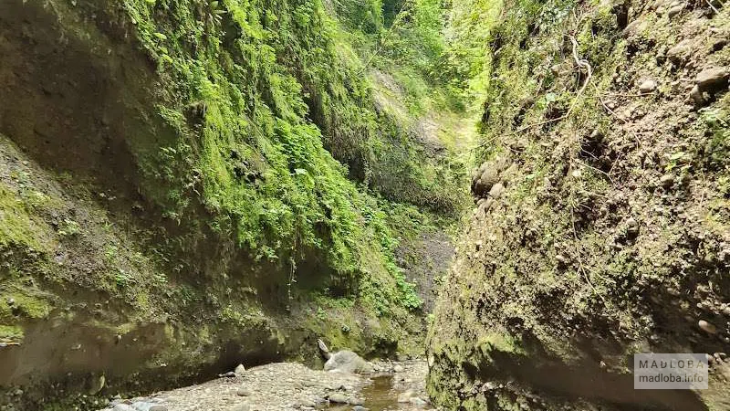 Каньон Оркари — скрытая природная тропа и водопад в горах Гурии