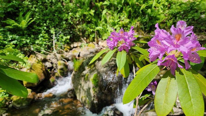 Kapnistavi Waterfall