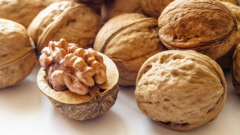 🥜 Georgia may experience a shortage of walnuts.