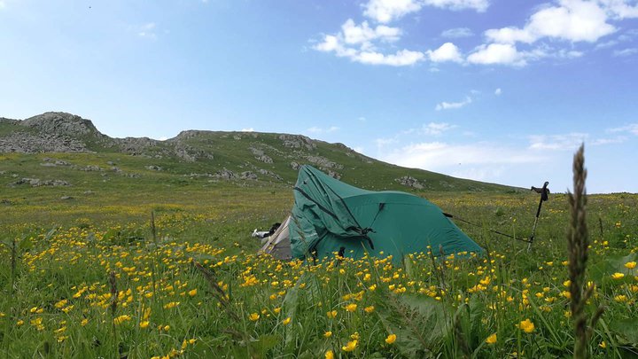 Camping in the Lagodekhi Nature Reserve