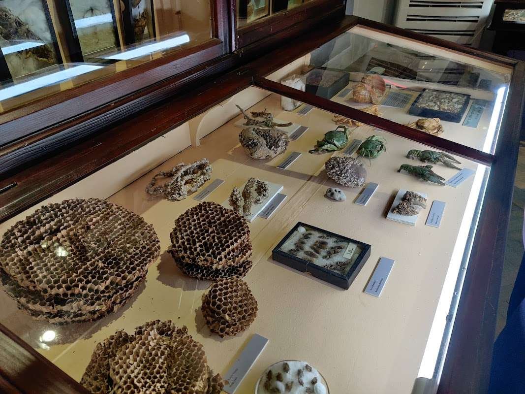 Khariton Akhvlediani Museum in Batumi