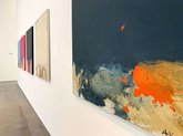 Baia Gallery