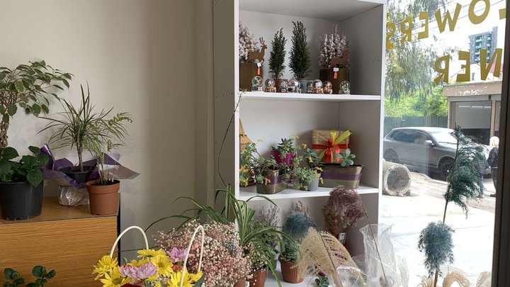 კიკის ყვავილების კუთხე