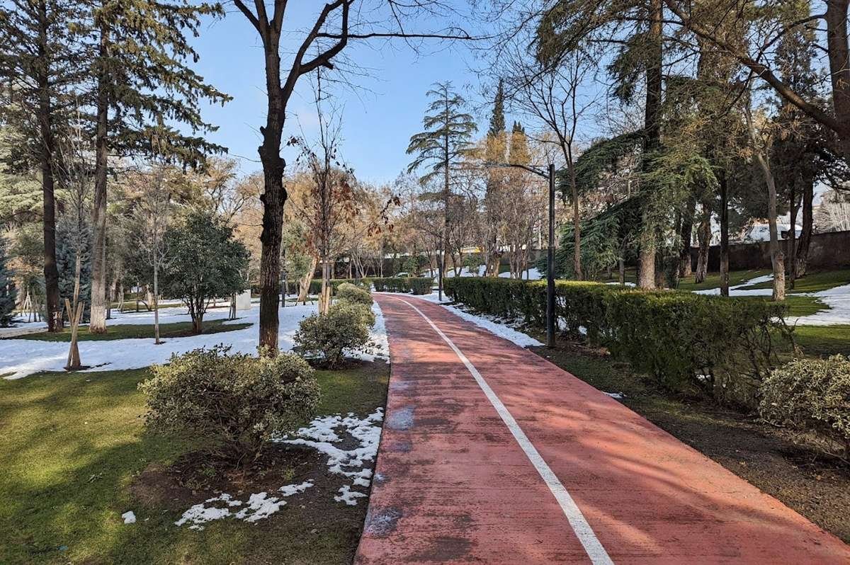 Kikvidze Park