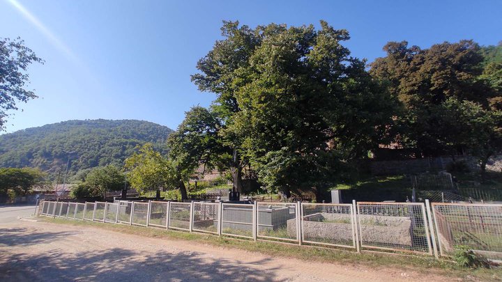 Cemetery near the Ubisi Monastery