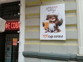 Cafe Sowa