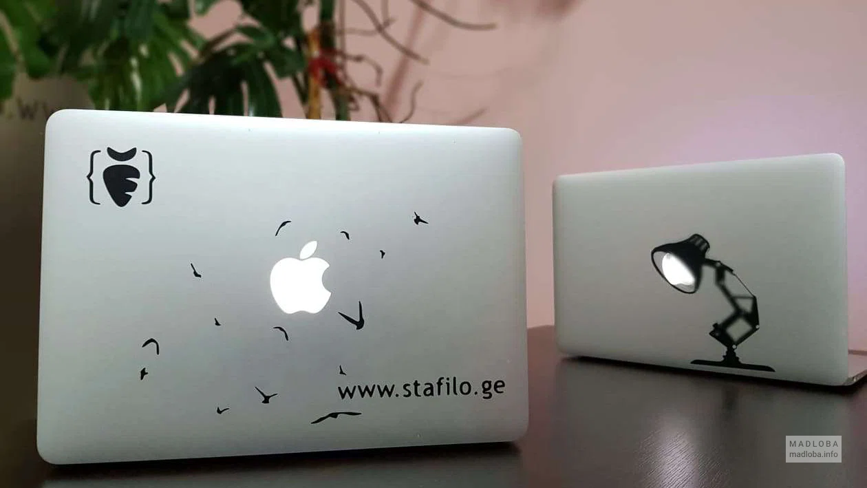 Компания по разработке программного обеспечения "Stafilo"
