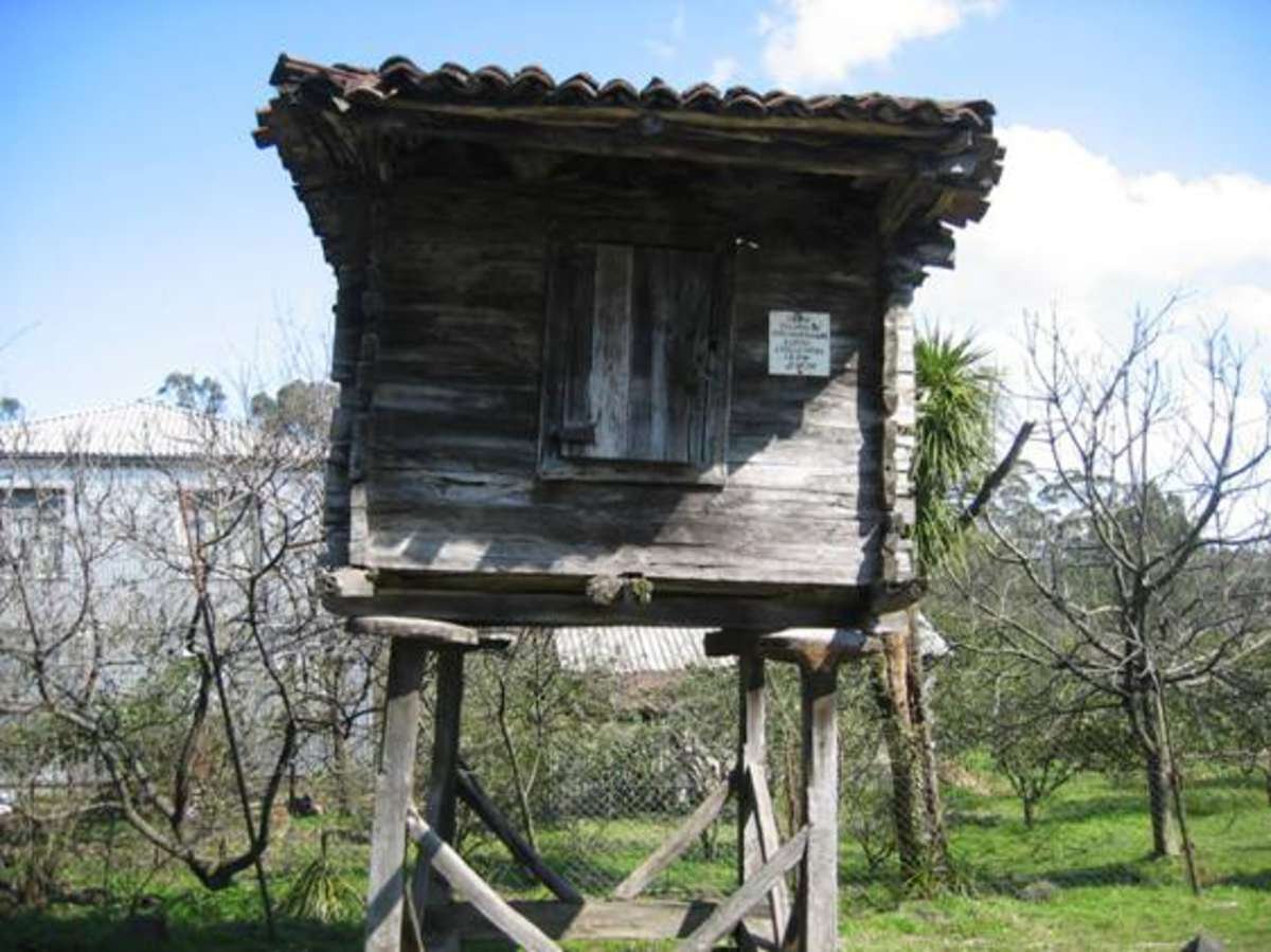 Kraevedcheskiy_muzey_Medzhinistskali