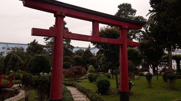 Red Japanese gate without leaves (Torii)