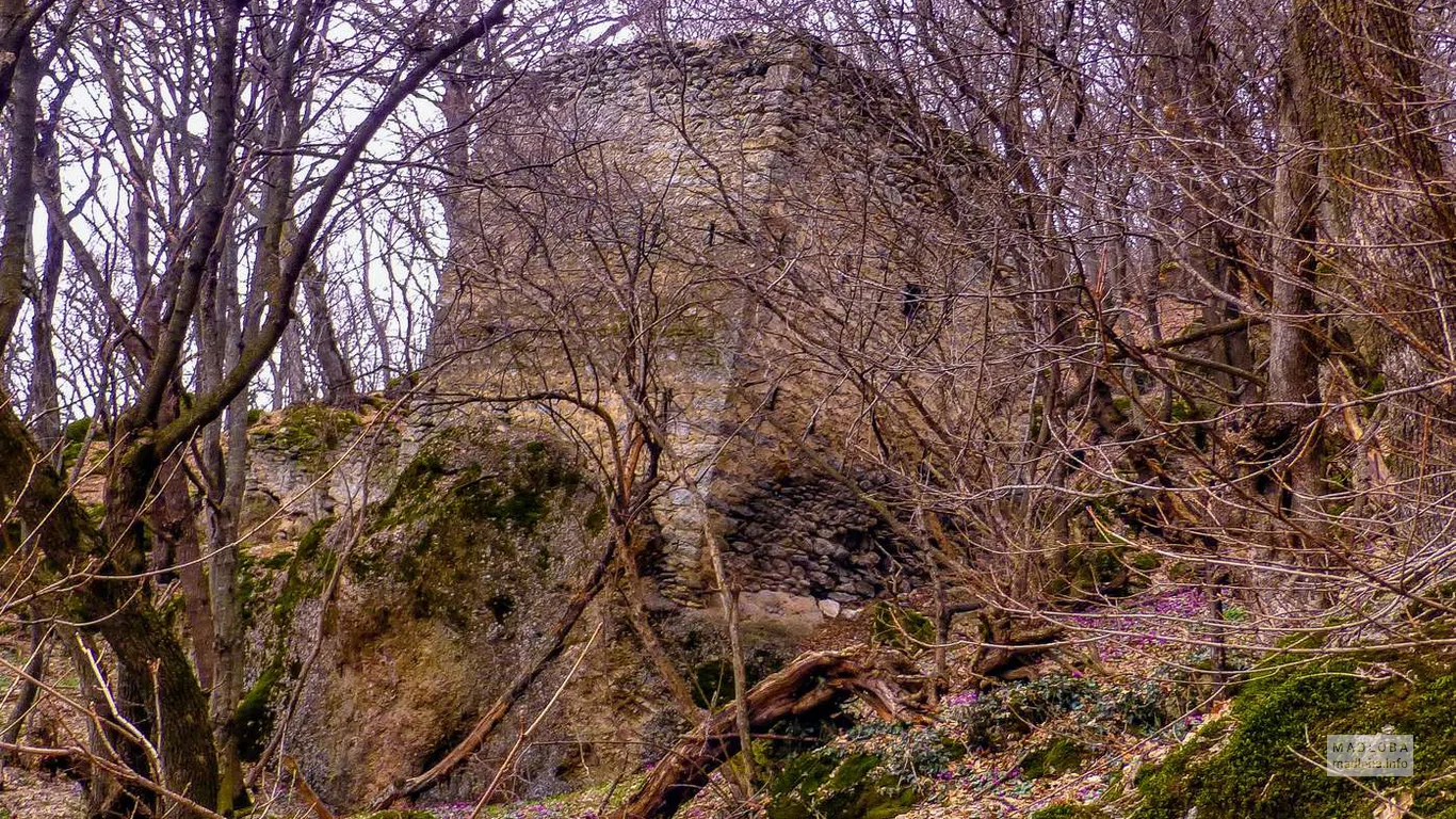 Avlevi Fortress in Kvemo Kartli