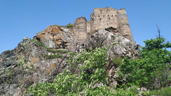 Крепость Бердики (Поладаури)