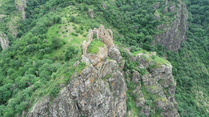 Крепость Бердики (Поладаури)