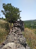 ფარცხისის ციხე