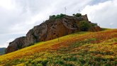 ქვეშის ციხე