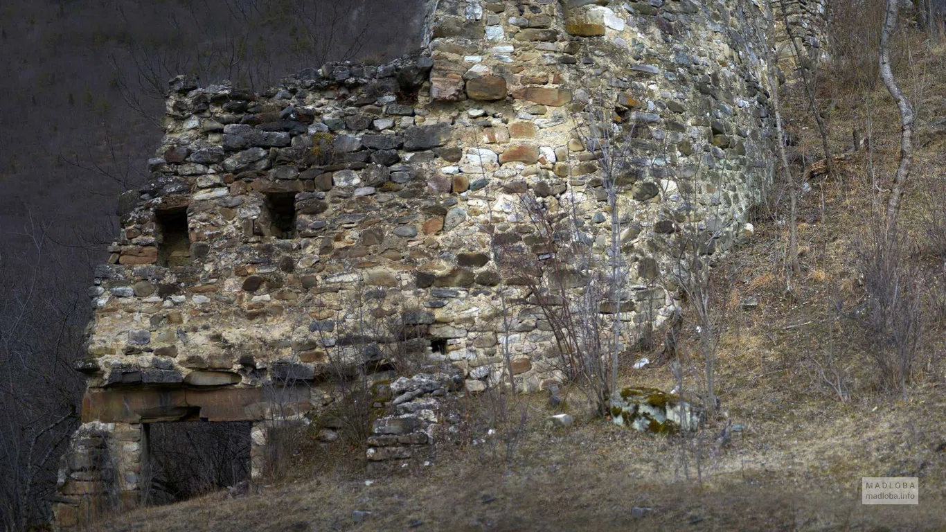 Крепость Ркони в Шида-Картли